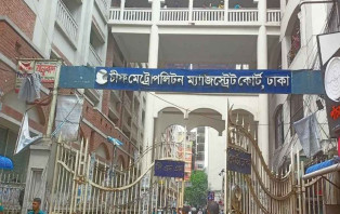 বিড়াল হত্যা করায় ৬ মাসের কারাদণ্ড ও জরিমানা